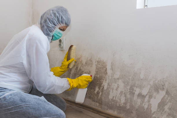 Best Mold Removal Process  in Swepsonville, NC