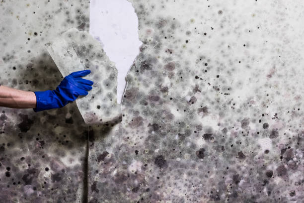 Water Damage Restoration in Swepsonville, NC
